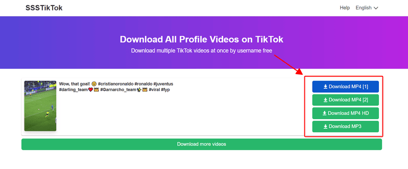enter tiktok username