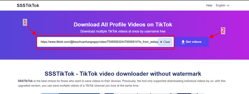 paste tiktok url tiktok